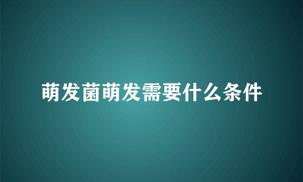萌发菌萌发需要什么条件
