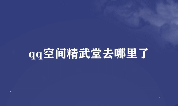 qq空间精武堂去哪里了
