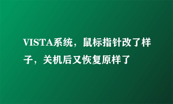 VISTA系统，鼠标指针改了样子，关机后又恢复原样了