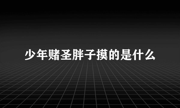 少年赌圣胖子摸的是什么