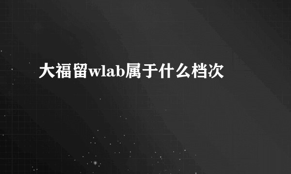 大福留wlab属于什么档次