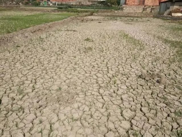 河南已达到轻度干旱等级，这将对当地生活及粮食种植工作带来哪些影响？