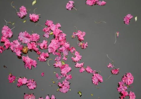 余味是什么意思？