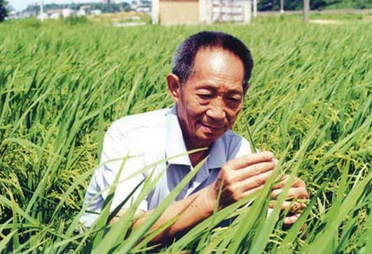 袁隆平曾拒5千美元月薪留在国内,他的爱国精神是否值得我们敬佩?