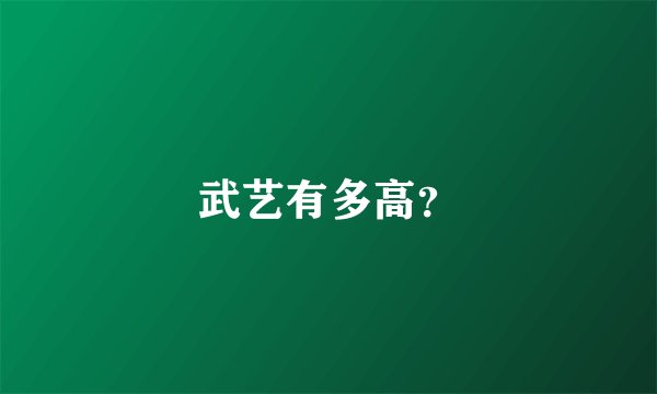 武艺有多高？