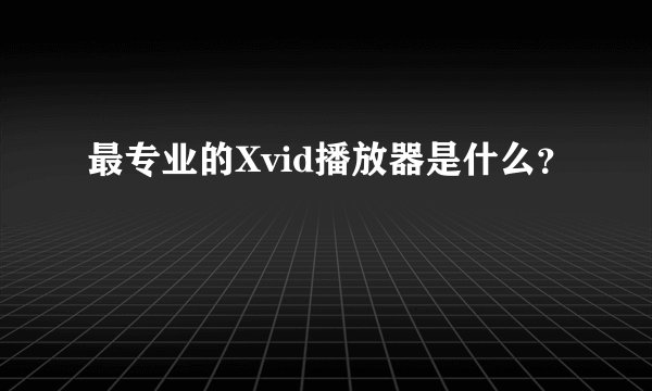 最专业的Xvid播放器是什么？