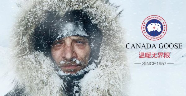 买件大鹅什么意思