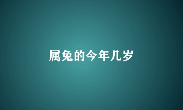 属兔的今年几岁