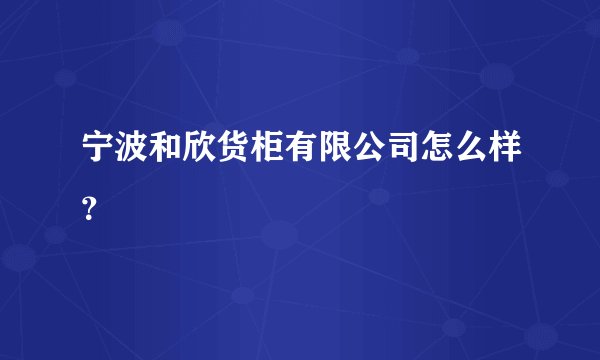 宁波和欣货柜有限公司怎么样？