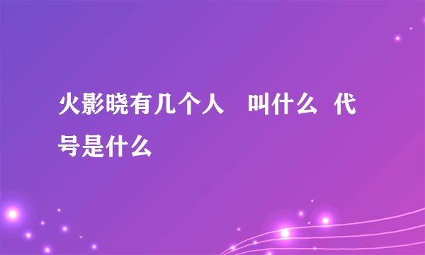 火影晓有几个人   叫什么  代号是什么
