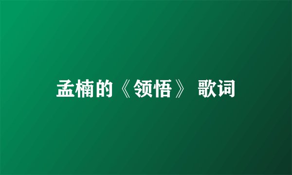 孟楠的《领悟》 歌词
