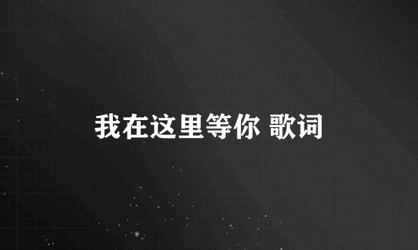 我在这里等你 歌词