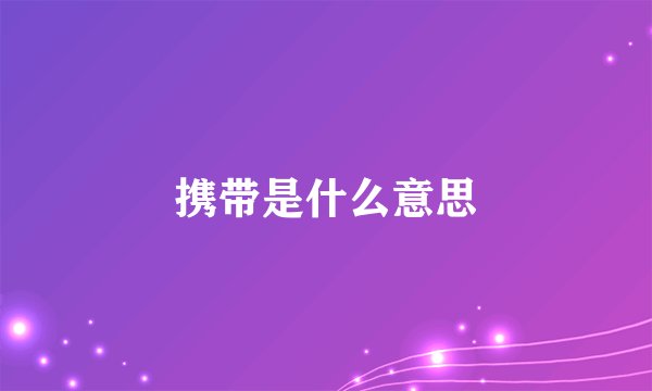 携带是什么意思