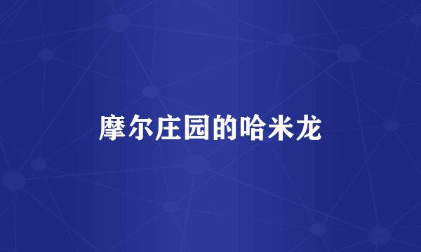 摩尔庄园的哈米龙