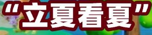 立夏看夏是指立夏时节的