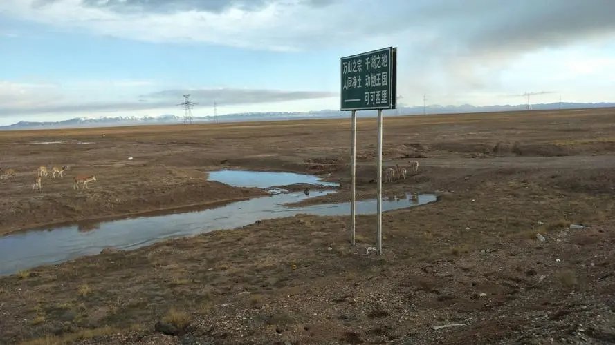 女子在无人区上厕所与狼四目相对，无人区的环境有多恶劣？