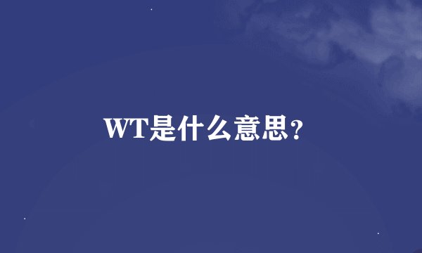 WT是什么意思？