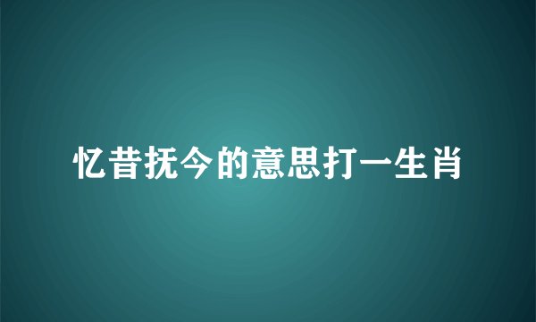 忆昔抚今的意思打一生肖