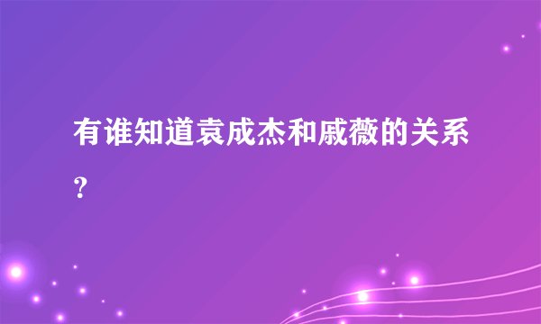 有谁知道袁成杰和戚薇的关系？