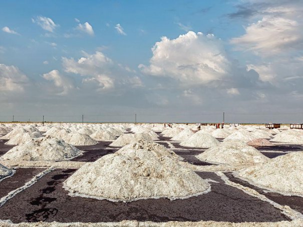 中国的盐矿在哪里