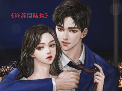 许辞南陆执结局是什么？