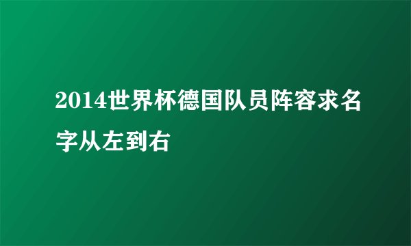 2014世界杯德国队员阵容求名字从左到右