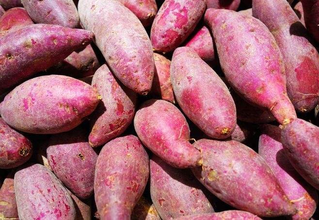 红薯甜度越高热量越高吗？