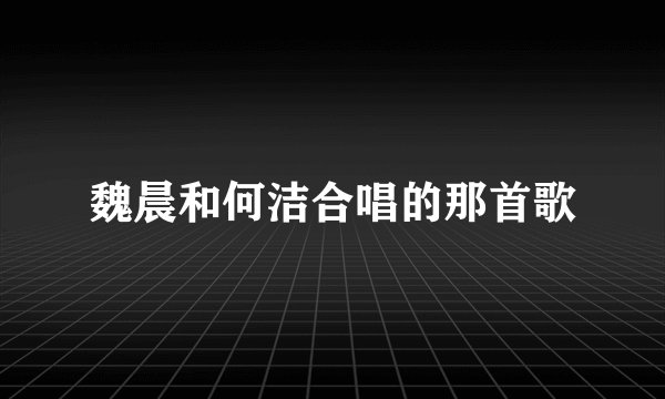 魏晨和何洁合唱的那首歌