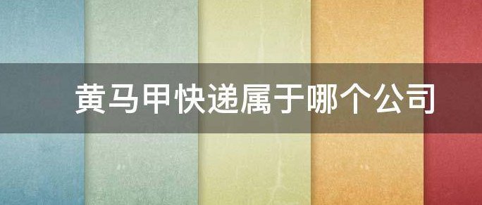黄马甲快递属于哪个公司?