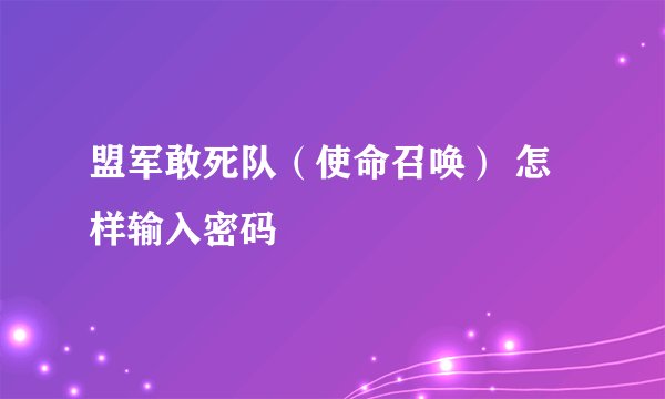 盟军敢死队（使命召唤） 怎样输入密码