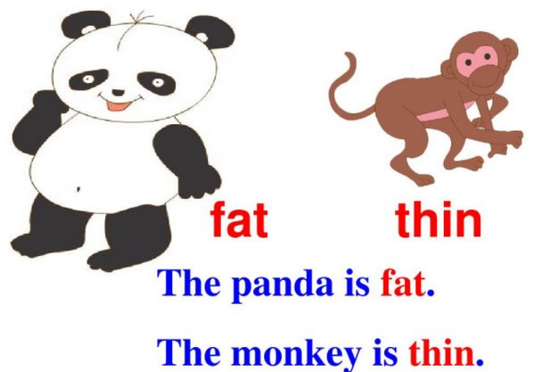 fat是什么意思
