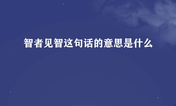 智者见智这句话的意思是什么
