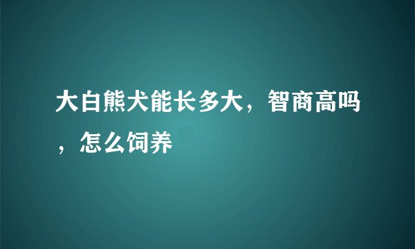 大白熊犬能长多大，智商高吗，怎么饲养