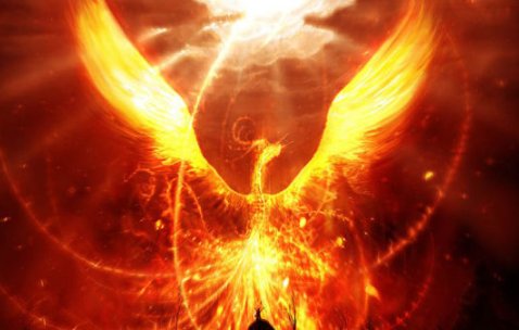 凤引九雏为什么是兔