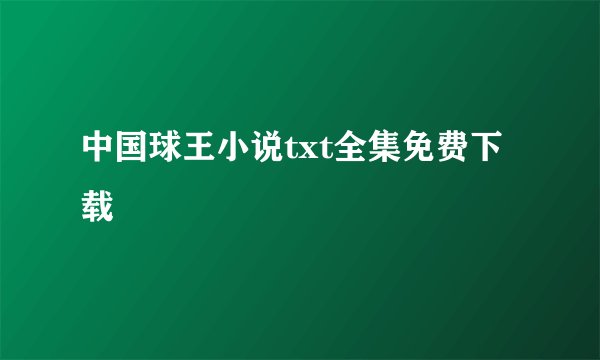 中国球王小说txt全集免费下载