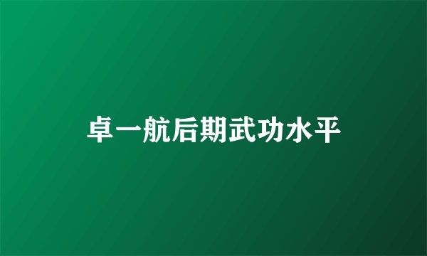 卓一航后期武功水平