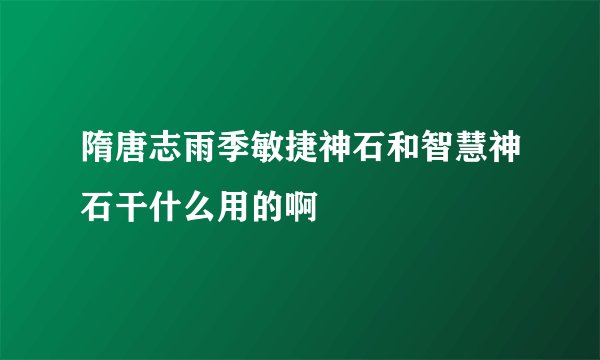 隋唐志雨季敏捷神石和智慧神石干什么用的啊