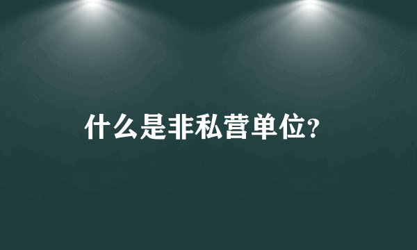 什么是非私营单位？