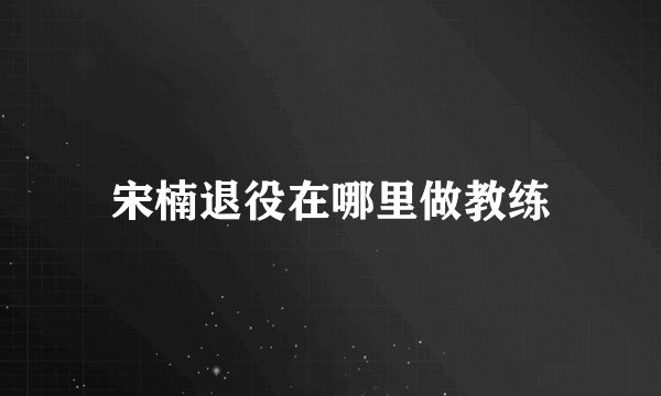 宋楠退役在哪里做教练