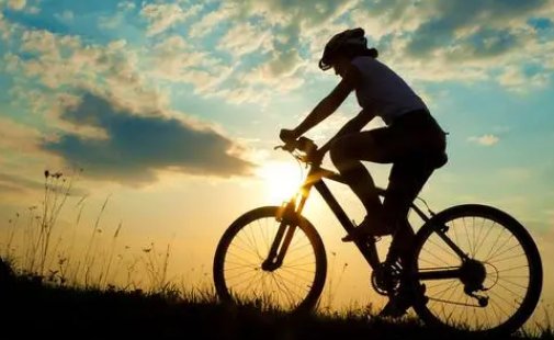 描写骑自行车的动作片段