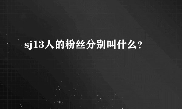 sj13人的粉丝分别叫什么？