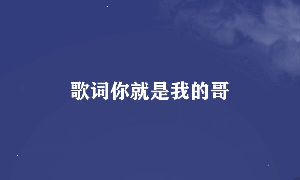 歌词你就是我的哥