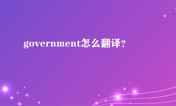government怎么翻译？