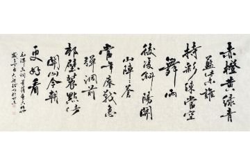 《菩萨蛮》大柏地整首诗的意思？