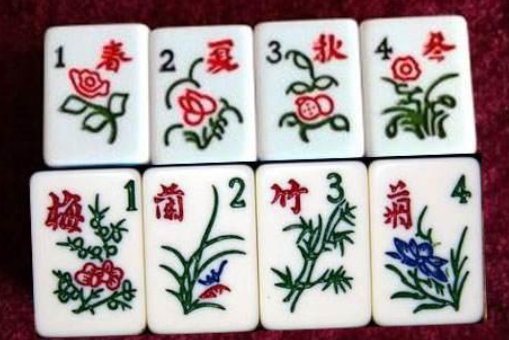 麻将中花牌是指什么？