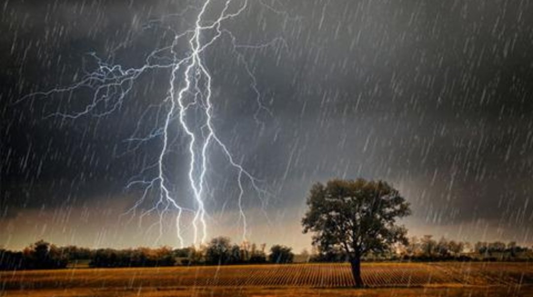 海南突发雷雨，三十多头牛被雷电击中瞬间毙命，给农户造成了多大的损失？