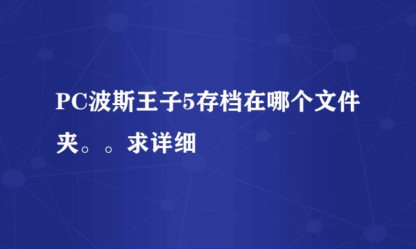 PC波斯王子5存档在哪个文件夹。。求详细