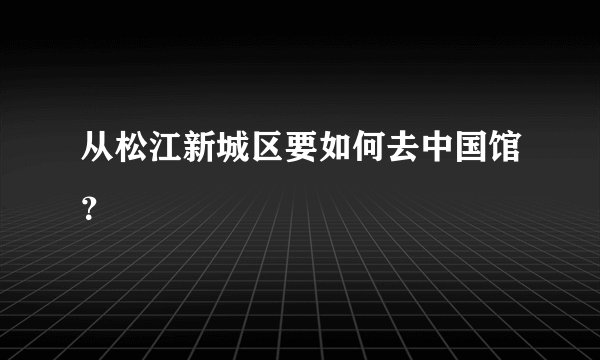 从松江新城区要如何去中国馆？