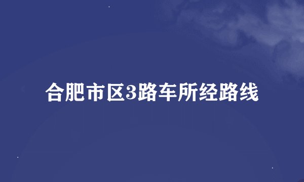 合肥市区3路车所经路线