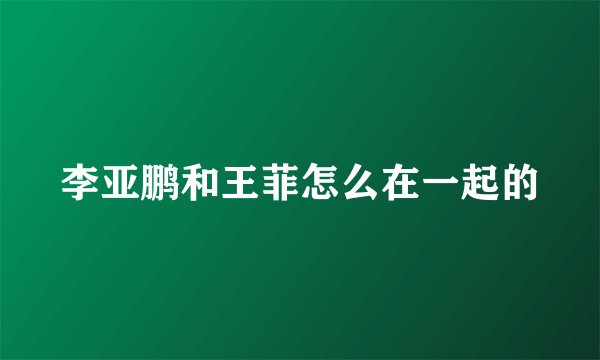 李亚鹏和王菲怎么在一起的